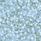 Seamless vector pattern of white small flowers gypsophila on a blue background.