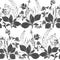 Seamless vector pattern with wildflowers and wildherbs on a white background. Grass mouse peas with flowers, plantain and shepherd