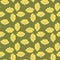 Seamless vector pattern with yellow poppies. Hand drawn flowers . decorative texture for fabric, Wallpaper, stationery, bedding