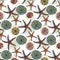 Seamless vector sea pattern. Seashell, various seashells, starfish