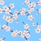 Seamless vector spring pattern from the branches of a blossoming apple tree with pink petals