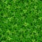 Seamless vector texture of a lawn covered with clover