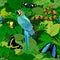 Seamless vector tropical rainforest Jungle background with ara makaw parrot, python and butterflies