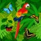 Seamless vector tropical rainforest Jungle background with parrot and butterflies