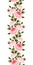 Seamless vertical border with pink roses. Vector illustration.