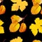 A seamless vibrant autumn leaves pattern on a black background