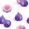 Seamless watercolor figs pattern on white background