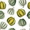 Seamless watercolor hand drawn pattern on green yellow striped background ripe organic soft neutral mint pumpkin