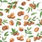 Seamless watercolor pattern with brown argan tree nut and leaves on white.