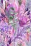 Seamless watercolor pattern with pink herbs dried eucalyptus flowers and pampas grass