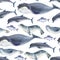 Seamless watercolor pattern about sea fauna. marine animal. Dolphin, whale, fish and seal on white background