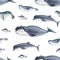 Seamless watercolor pattern about sea fauna. marine animal. Dolphin, whale, fish and seal on white background