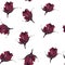 Seamless watercolor pattern on a white background with scarlet rose buds