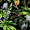 Seamless watercolor tropical pattern with schefflera plant and iris flowers, croton leaves and strelitzia