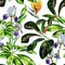 Seamless watercolor tropical pattern with schefflera plant and iris flowers, croton leaves and strelitzia