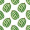 Seamless watermelons pattern. Watercolor background with full watermelone berries for textile and decor