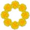 Seamless yellow flower patterm. Dandelion flower summer background close up