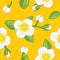 Seamless yellow pattern with blooming jasmine