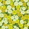 Seamless yellow white chrysanthemum backgrounds