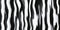 Seamless zebra fur textures. Black and white striped hairy background. Fluffy stripe monochrome pattern