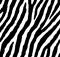 Seamless zebra pattern 80s 90s style.Fashionable exotic black and white animal print