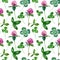 Seamlesss pattern with clover blooms and leaves isolated on white background