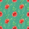 Seamlesss pattern with red wild poppies isolated on green background