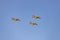 Seaplane. Airplane. Military vehicle. Spanish Air Force on the day of the National Holiday of October 12