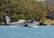 Seaplane floating in water