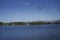 Seaplane flying over lake