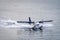 Seaplane just landed in the ocean