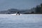 Seaplane landing in the harbor in Ketchikan, Alaska