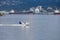 seaplane starting near vancouver harbor for a flight
