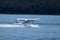 Seaplane taking off, Lake Te Anau, New Zealand