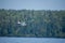 Seaplane taking off on a wild lake