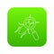 Search insect icon green vector