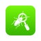 Search insect icon green vector