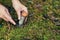 The search for mushrooms in the woods. Mushroom picker. A woman is cutting a white mushroom with a knife.