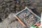 Searching for gemstones in the gravel near the extraction of mine minerals site