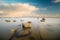 Seascape of the Baltic Sea, the composition of the scattered boulders