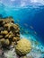 Seascape of Bonaire