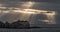 Seascape. The colony of seals Cape Fur Seals on the island. The rays of the sun through the clouds in the dawn sky. South Africa