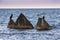 Seascape. Concrete pyramids with cormorants.