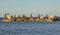 Seascape. Concrete pyramids with cormorants and gulls in the light before sunset.