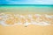 Seascape with coral at sand tropical beach