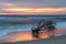 Seascape Driftwood on the Outer Banks Beach in NC