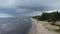 Seascape. Empty coast, sea and sand dunes, with  long, green grass and bushes, on gloomy sky background. Aerial fly along