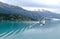 Seascape with Gull Flying in Foreground in Glacier Bay Alaska