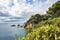 Seascape. A high rocky coast with green vegetation