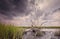 Seascape of Hilton Head Island